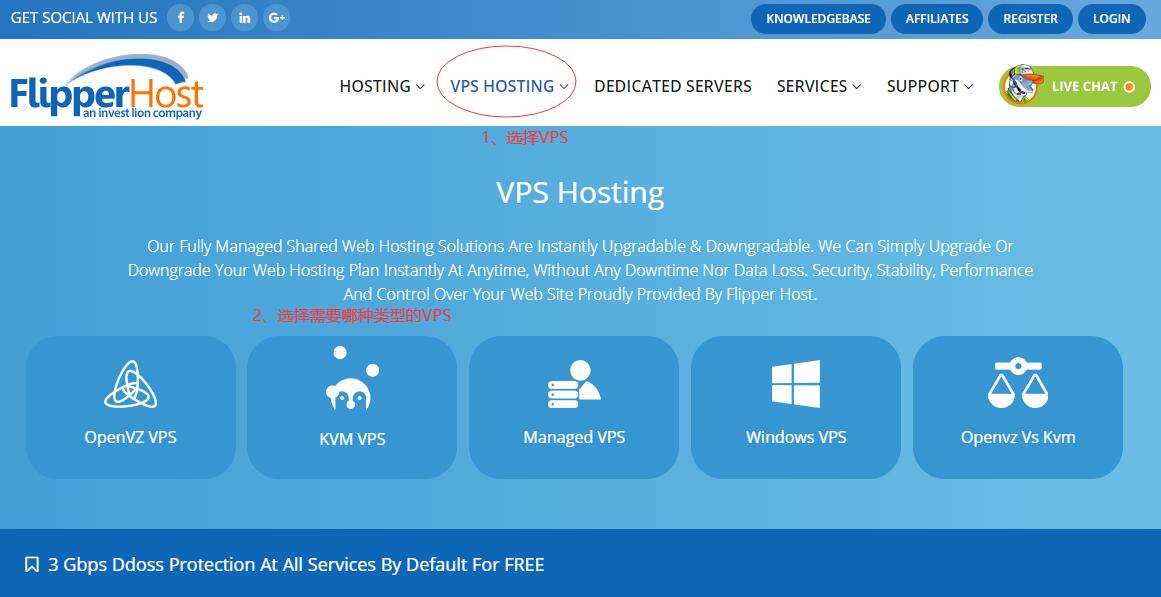FlipperHost VPS购买教程 - 首页选择VPS类型
