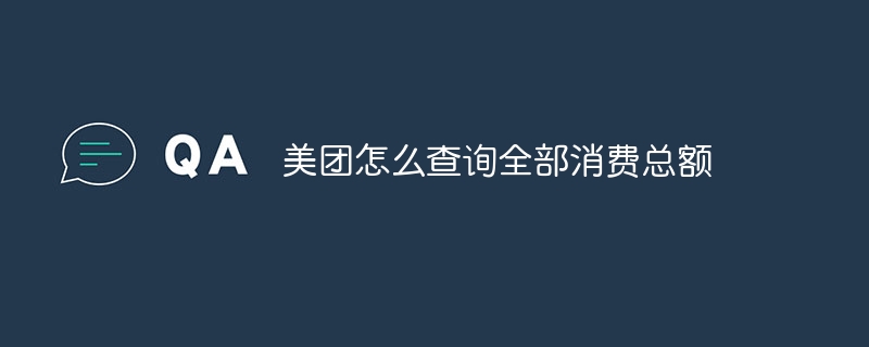 美团怎么查询全部消费总额