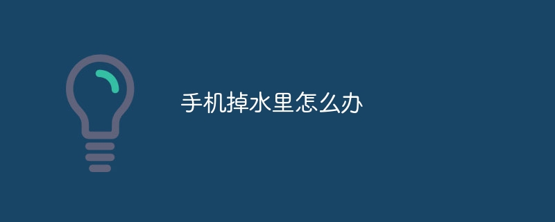 手机掉水里怎么办