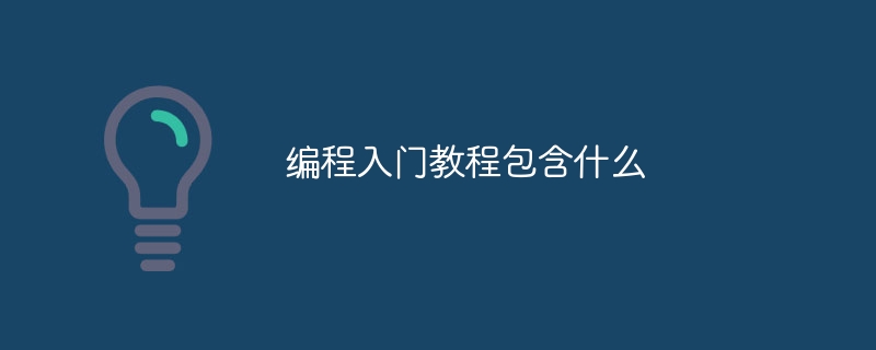编程入门教程包含什么