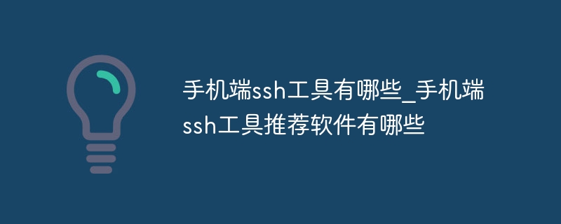 手机端ssh工具有哪些_手机端ssh工具推荐软件有哪些