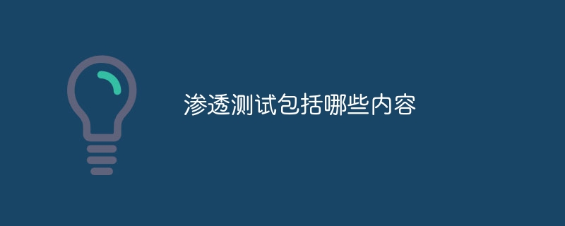 渗透测试包括哪些内容