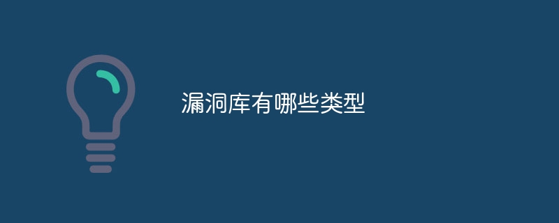 漏洞库有哪些类型