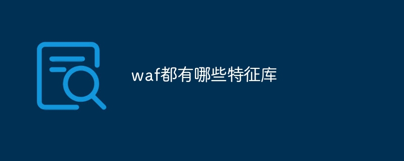 waf都有哪些特征库