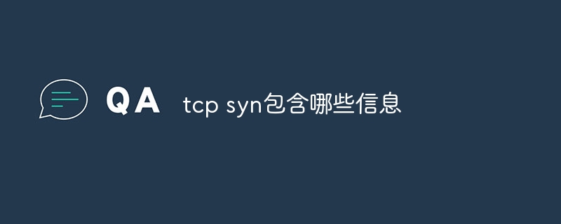 tcp syn包含哪些信息