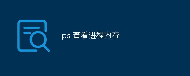 ps 查看进程内存