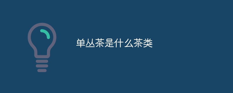 单丛茶是什么茶类