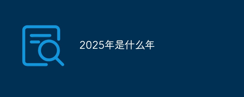 2025年是什么年