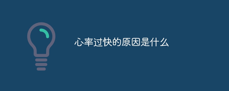 心率过快的原因是什么