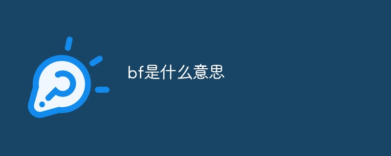 bf是什么意思