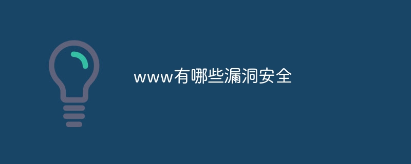 www有哪些漏洞安全-47to主机测评网 - 专注云服务器,国外服务器,虚拟主机,CDN加速,美国VPS主机测评