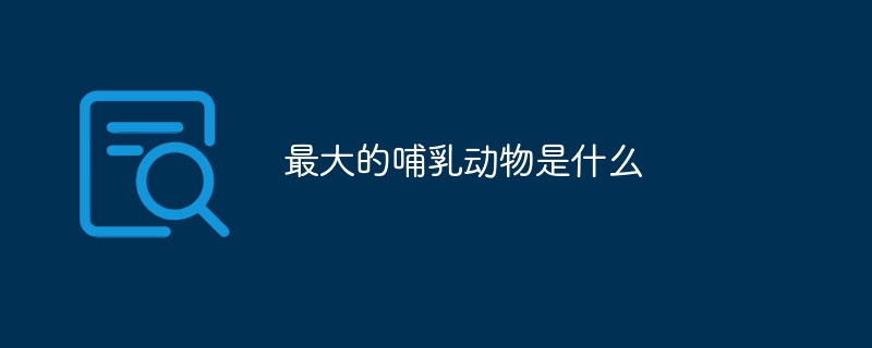 最大的哺乳动物是什么
