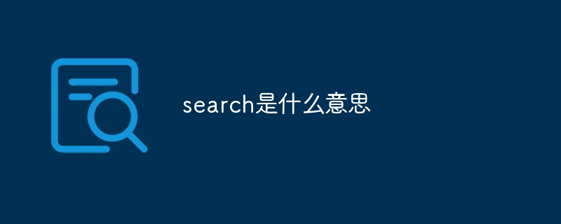 search是什么意思