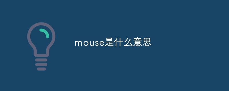 mouse是什么意思