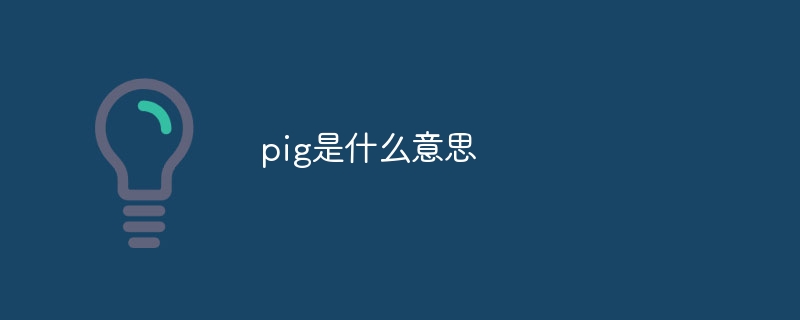 pig是什么意思