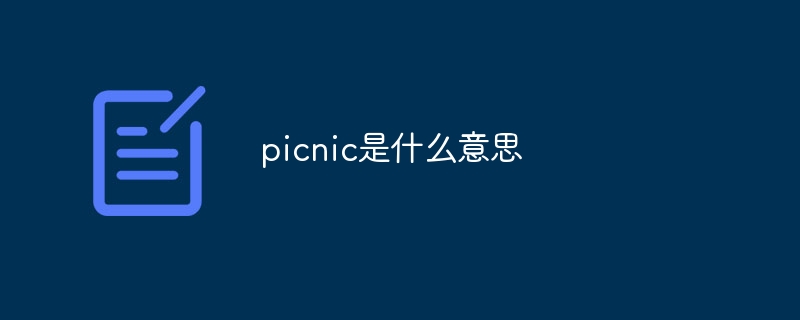 picnic是什么意思
